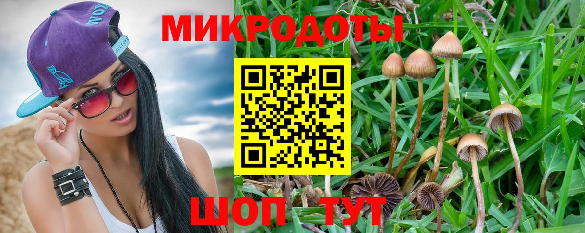 Галлюциногенные грибы Psilocybine cubensis  цена   Долгопрудный  Вход с VPN  Псилоцибиновые грибы MAGIC MUSHROOMS 